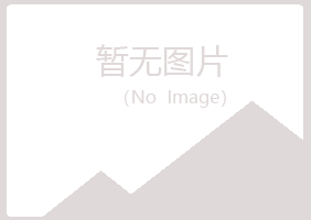 鹤岗兴山迷失零售有限公司